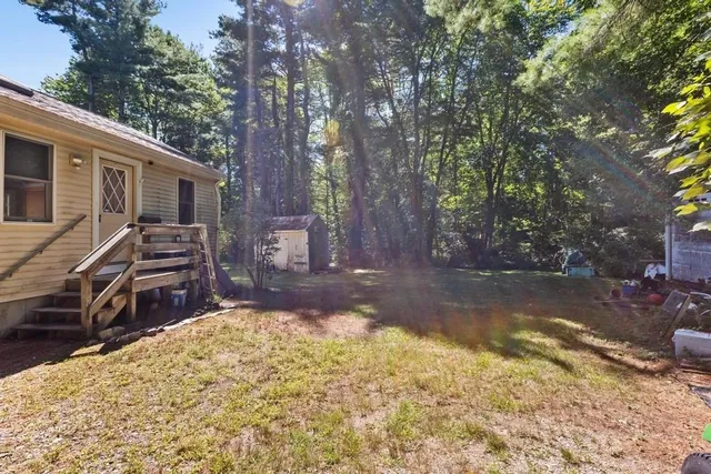 a view of a backyard with large tree