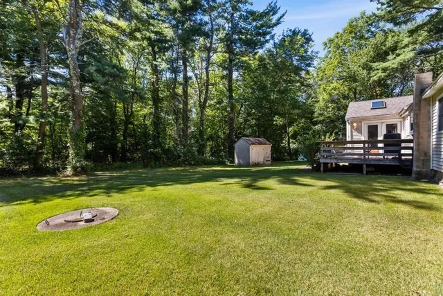 a view of a swimming pool with a yard and large trees