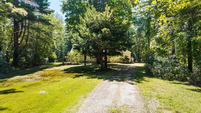 a view of a yard with plants and trees