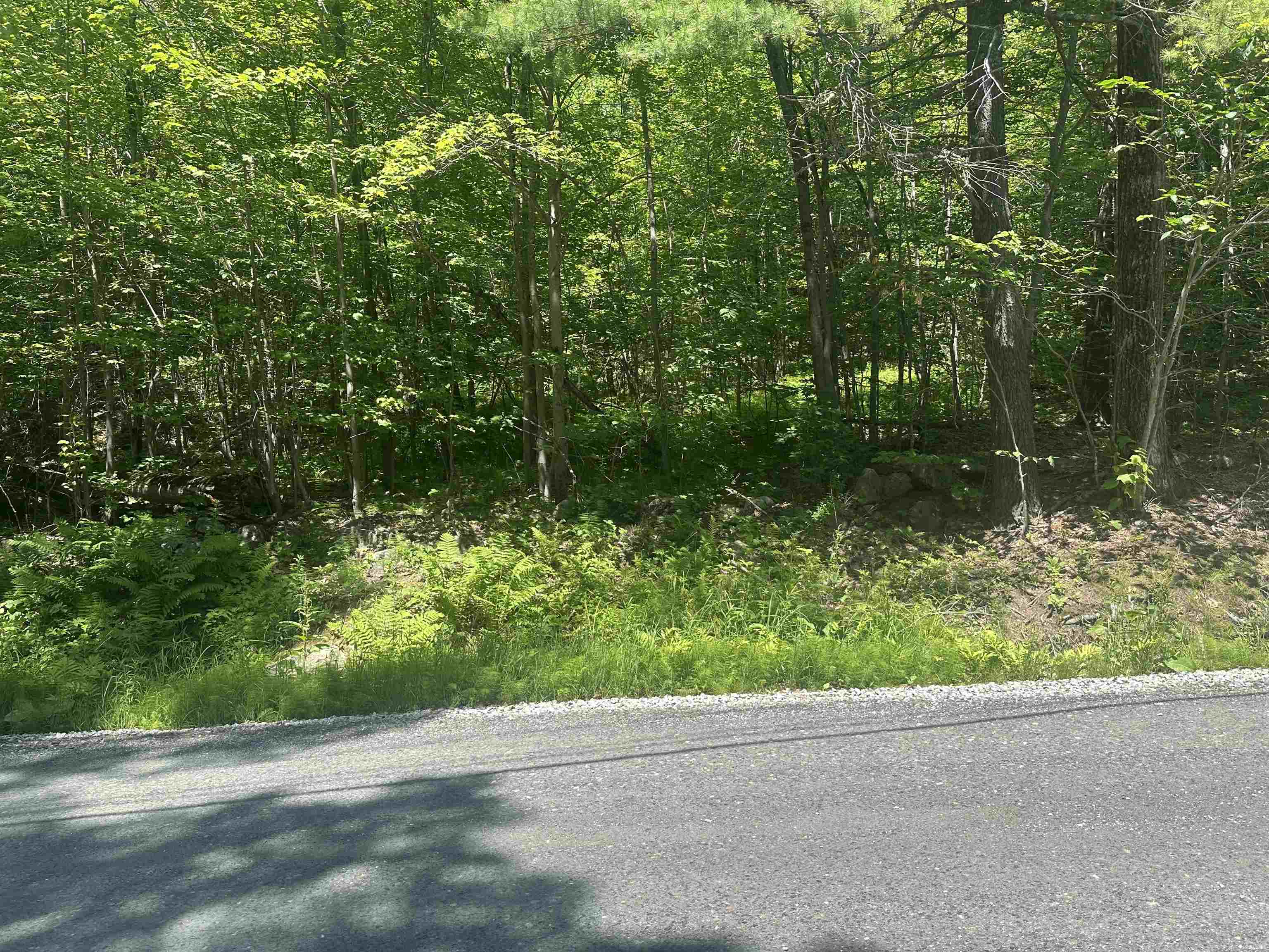 Lot 157 Old Province Road Newbury, NH 03255 - Photo 4 of 6