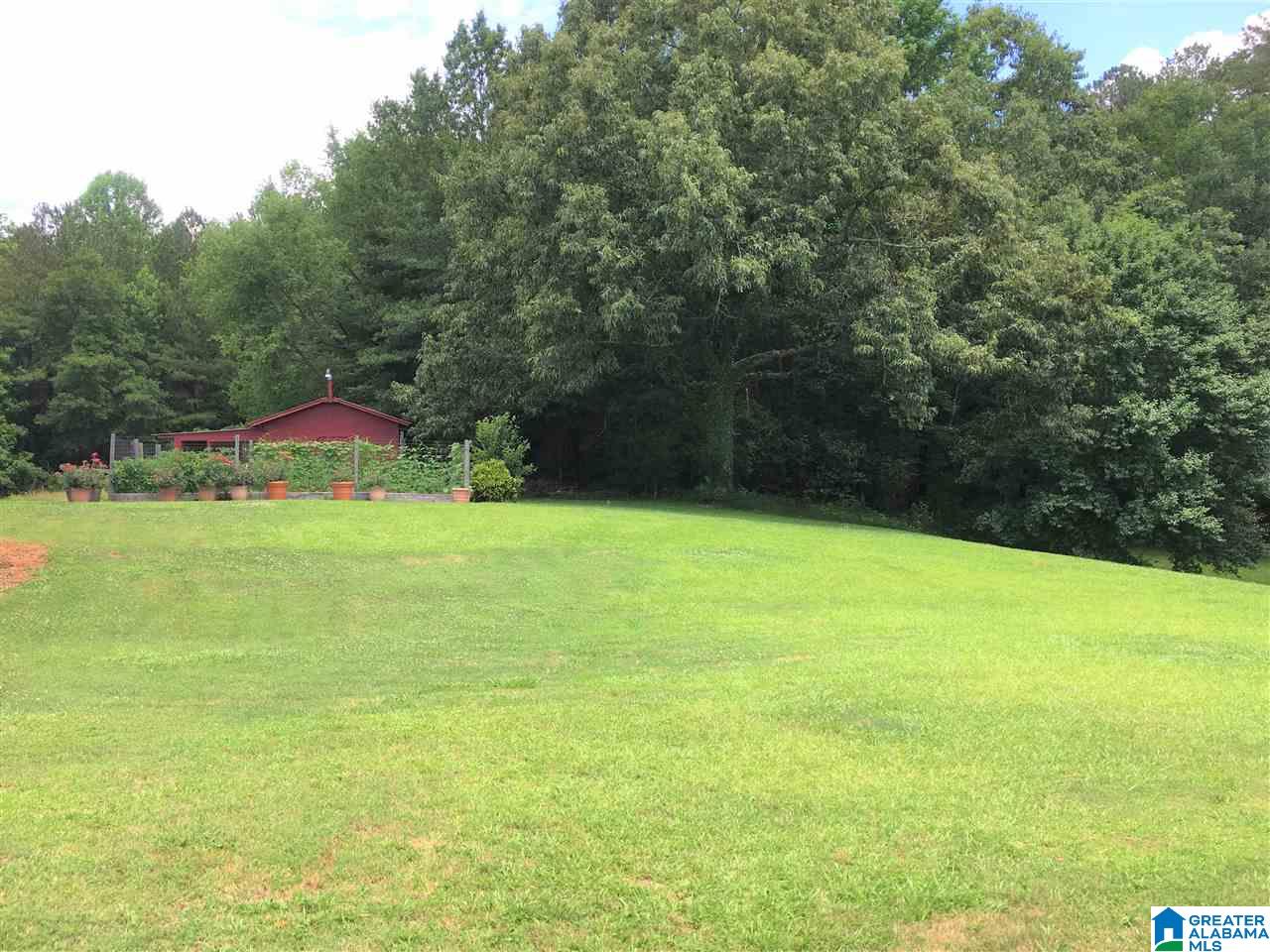 391 Duke Drive Heflin, AL 36264 - Photo 35 of 50
