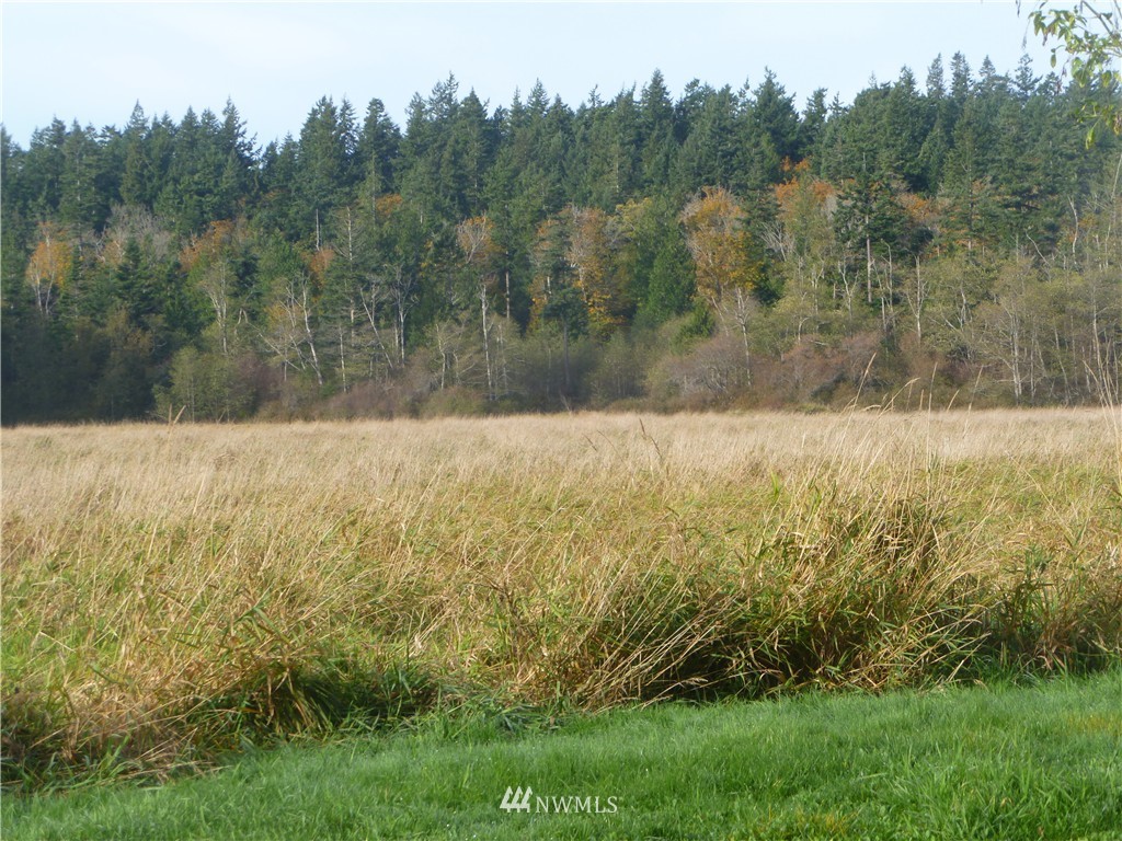 5376 Guemes Island Road Anacortes, WA 98221 - Photo 18 of 19 Gallery Image 18