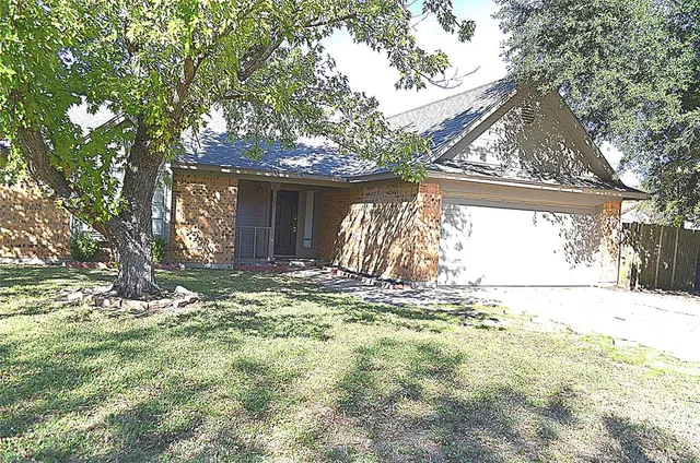 a view of a yard with tree s