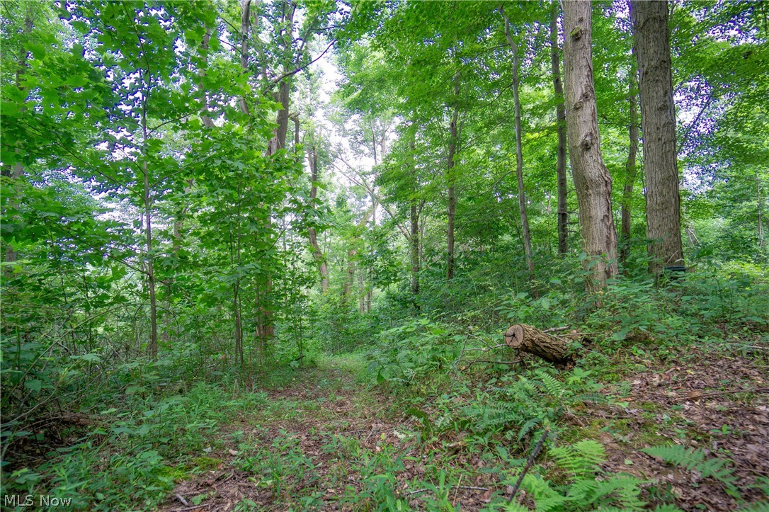 44892 Crothers Road Clarington, OH 43915 - Photo 24 of 34 Gallery Image 24