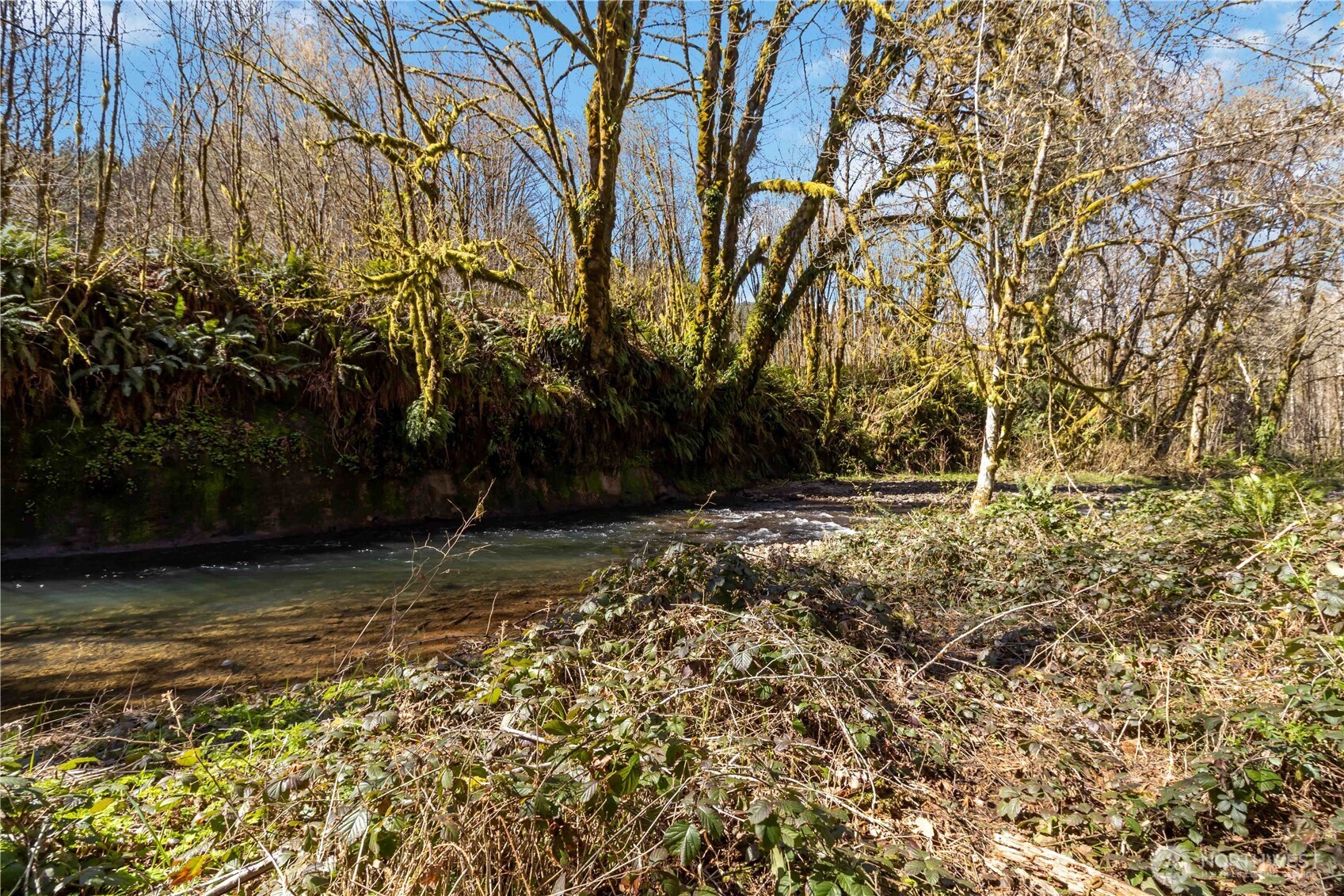 2035 Coal Creek Road Longview, WA 98632 - Photo 17 of 34