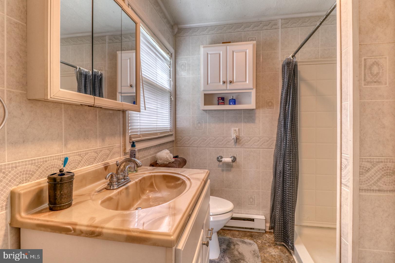 4191 Hills Market Road Felton, DE 19943 - Photo 11 of 15 Master Bathroom