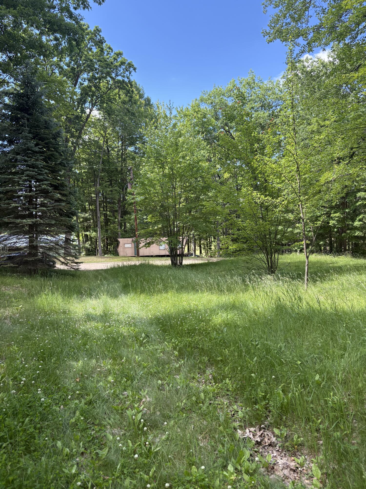 5339 Jerry Street Gladwin, MI 48624 - Photo 3 of 18 IMG_7789