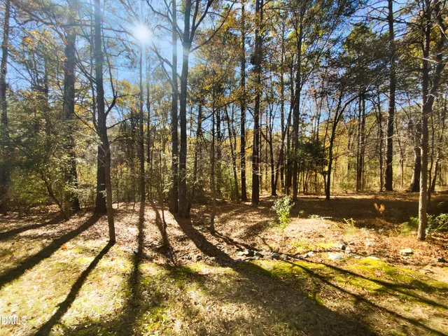 a view of snow on the side of a road