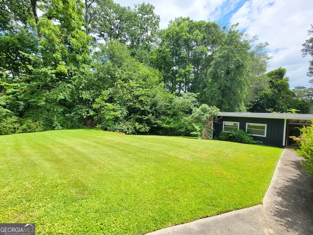 a view of a backyard with potted plants and large tree