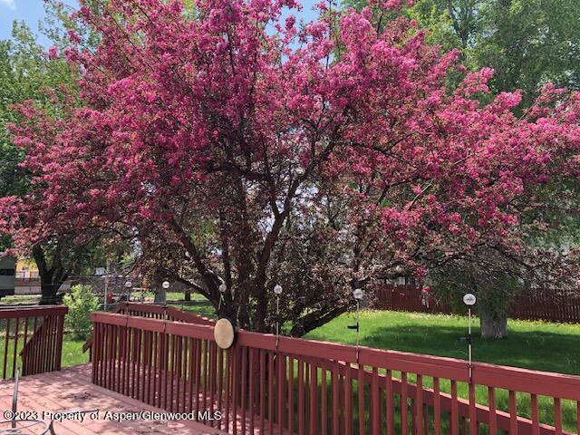 558 Steele Street Craig, CO 81625 - Photo 3 of 52 a view of a wooden fence