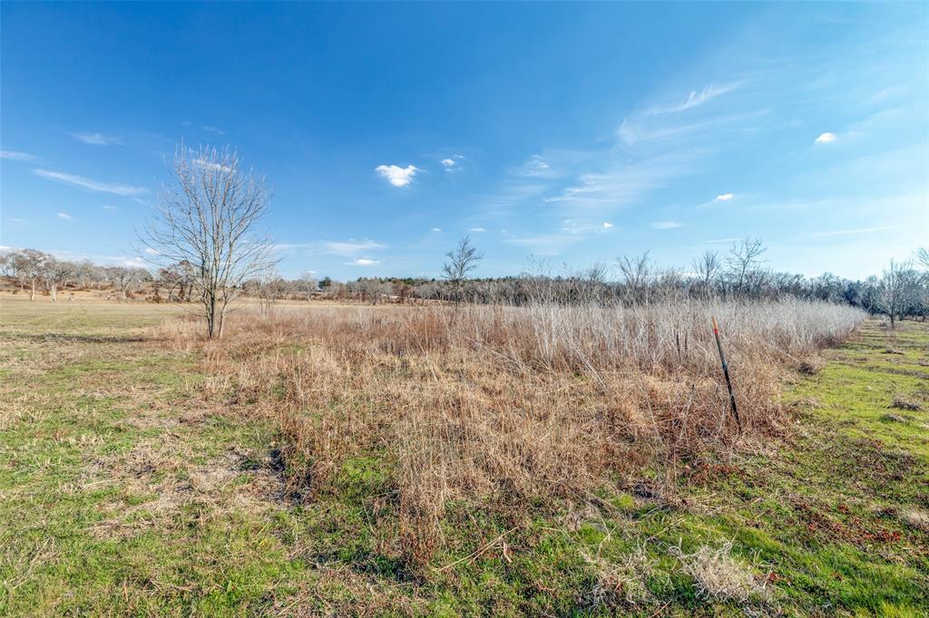 2023 Joe Davis Road Whitewright, TX 75491 - Photo 9 of 16