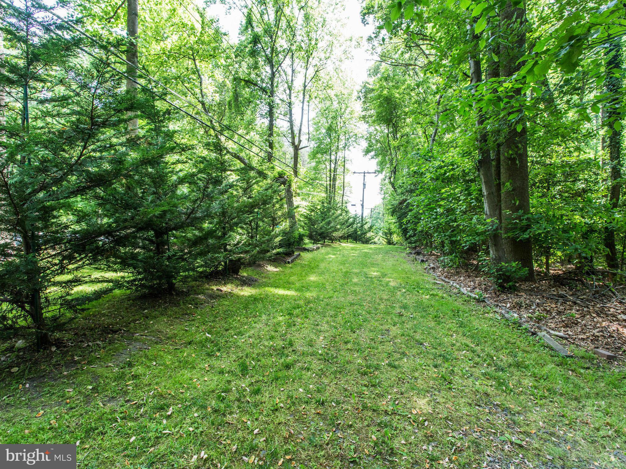 7500 Maple Branch Road Clifton, VA 20124 - Photo 28 of 30 Exterior (General)