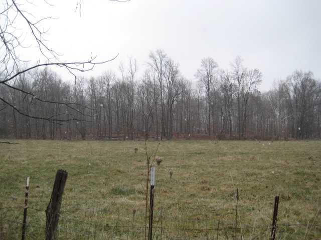 - Bond Road Coal City, IN 47427 - Photo 3 of 4