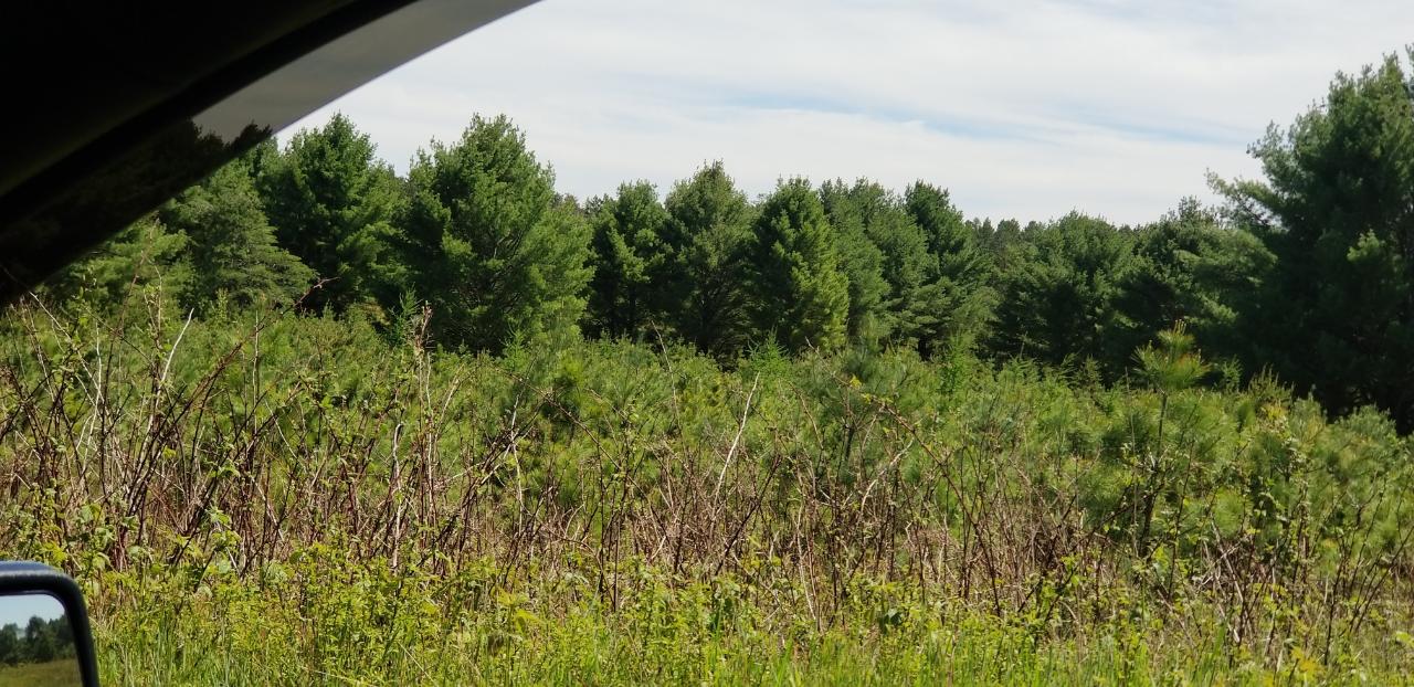 On On West Road, Unit LOT 3 Eagle River, WI 54521 - Photo 4 of 5 Gallery Image 4