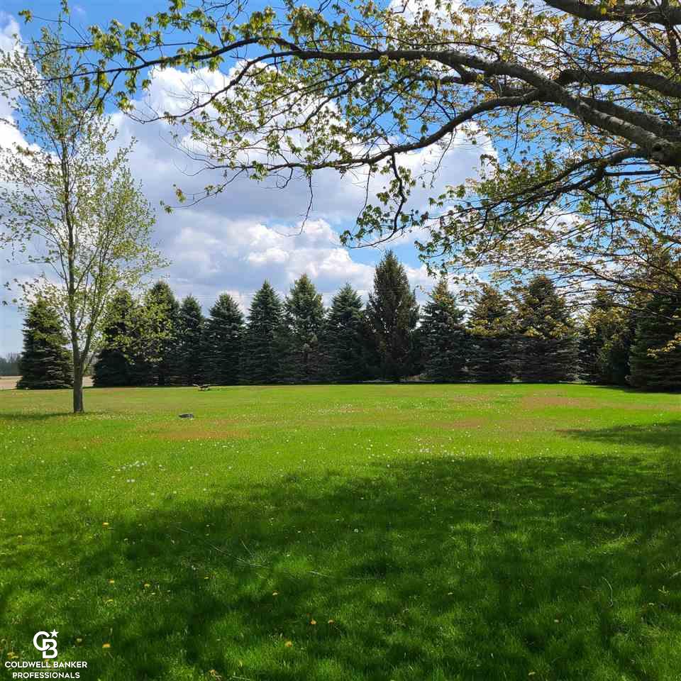 32 Morris Road Sandusky, MI 48471 - Photo 24 of 27 Yard View