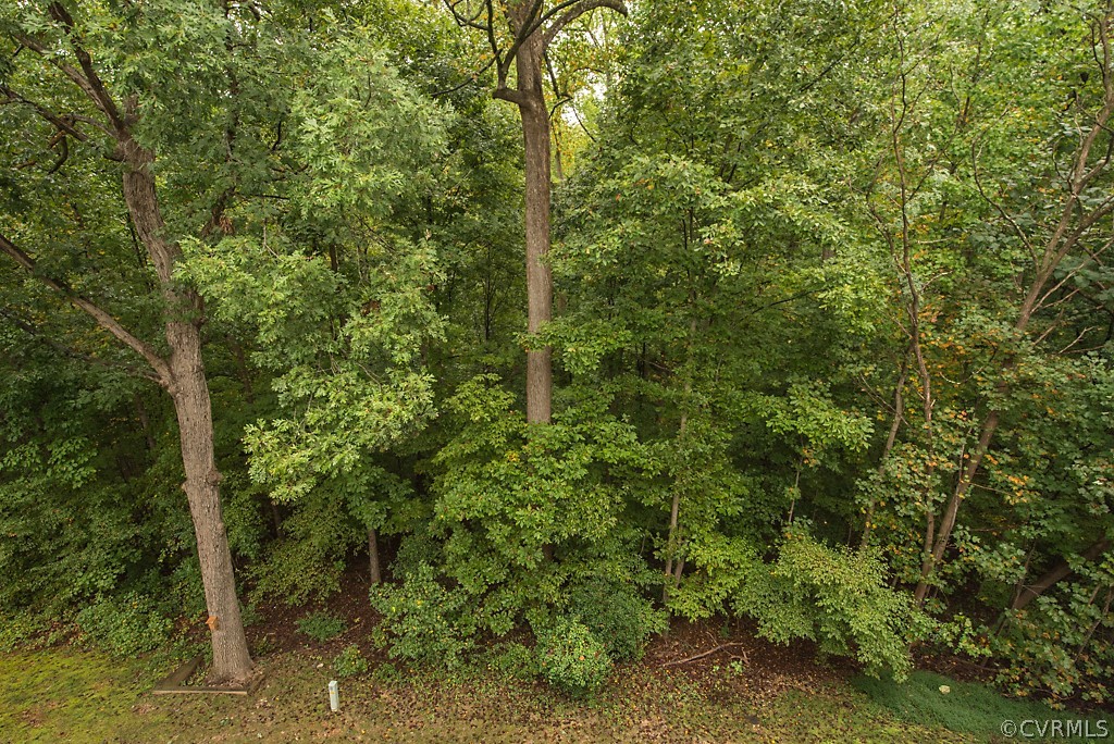 3109 Stony Point Road, Unit B Richmond, VA 23235 - Photo 39 of 48 View from deck and balcony