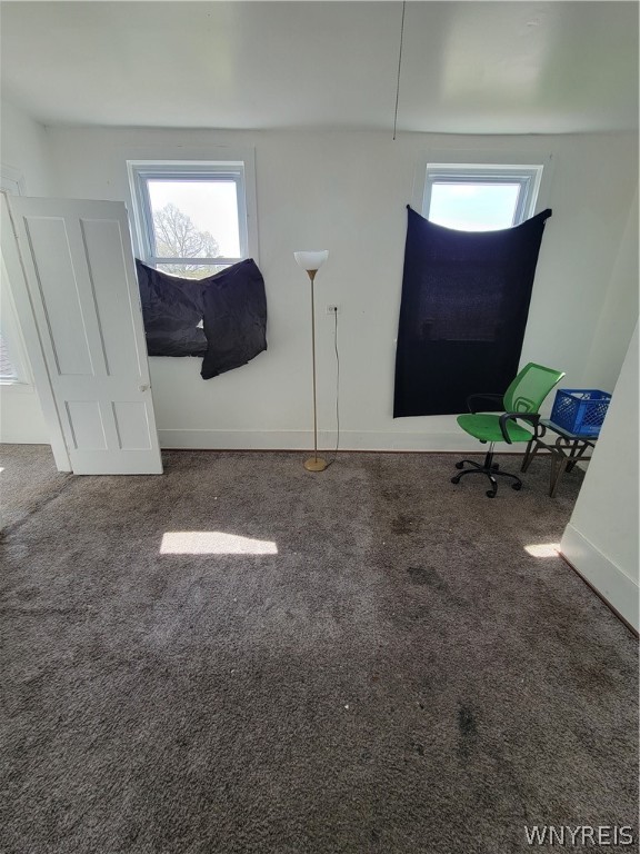 253 Efner Street Buffalo, NY 14201 - Photo 11 of 15