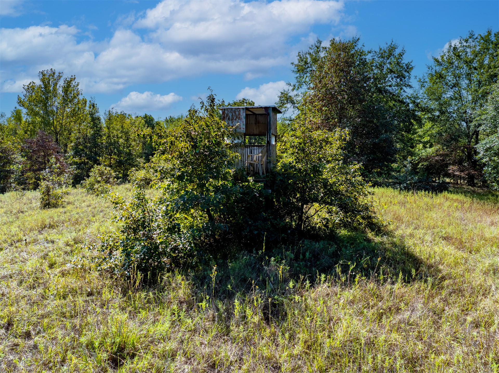 1599 North 4010 Road Boswell, OK 74727 - Photo 9 of 57 Hunting Stand