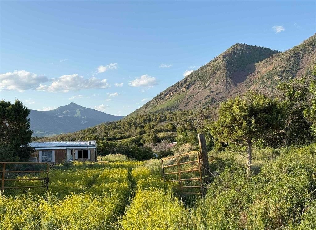 43867 Long Gulch Road Crawford, CO 81415 - Photo 16 of 42 Gallery Image 16