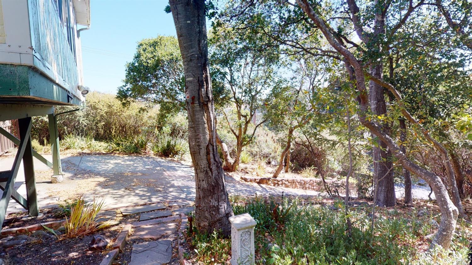 77 Homestead Boulevard Mill Valley, CA 94941 - Photo 30 of 56 a view of a tree in the middle of a yard