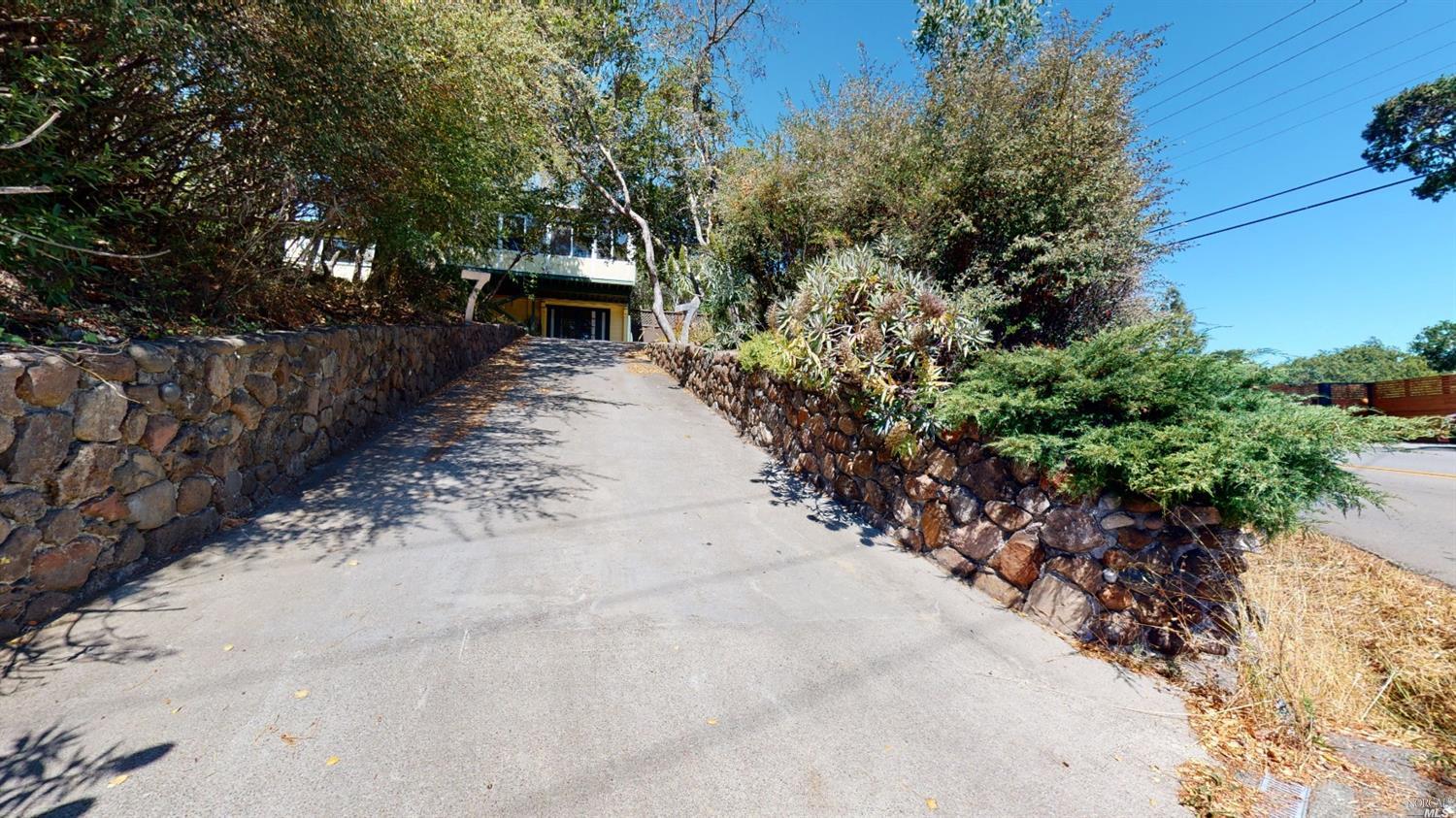 77 Homestead Boulevard Mill Valley, CA 94941 - Photo 32 of 56 a view of a yard with plants and trees