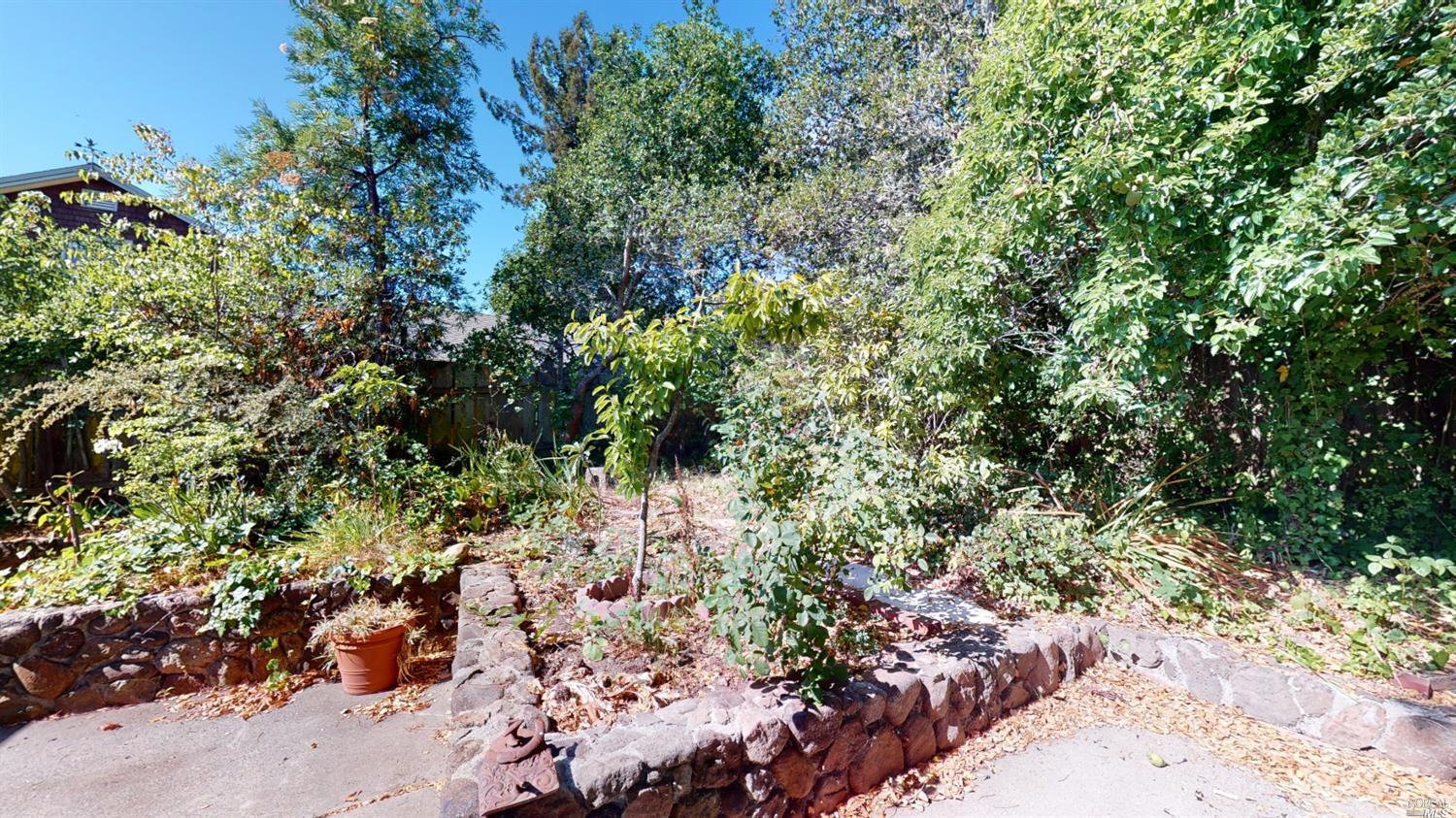 77 Homestead Boulevard Mill Valley, CA 94941 - Photo 33 of 56 a view of a garden with plants