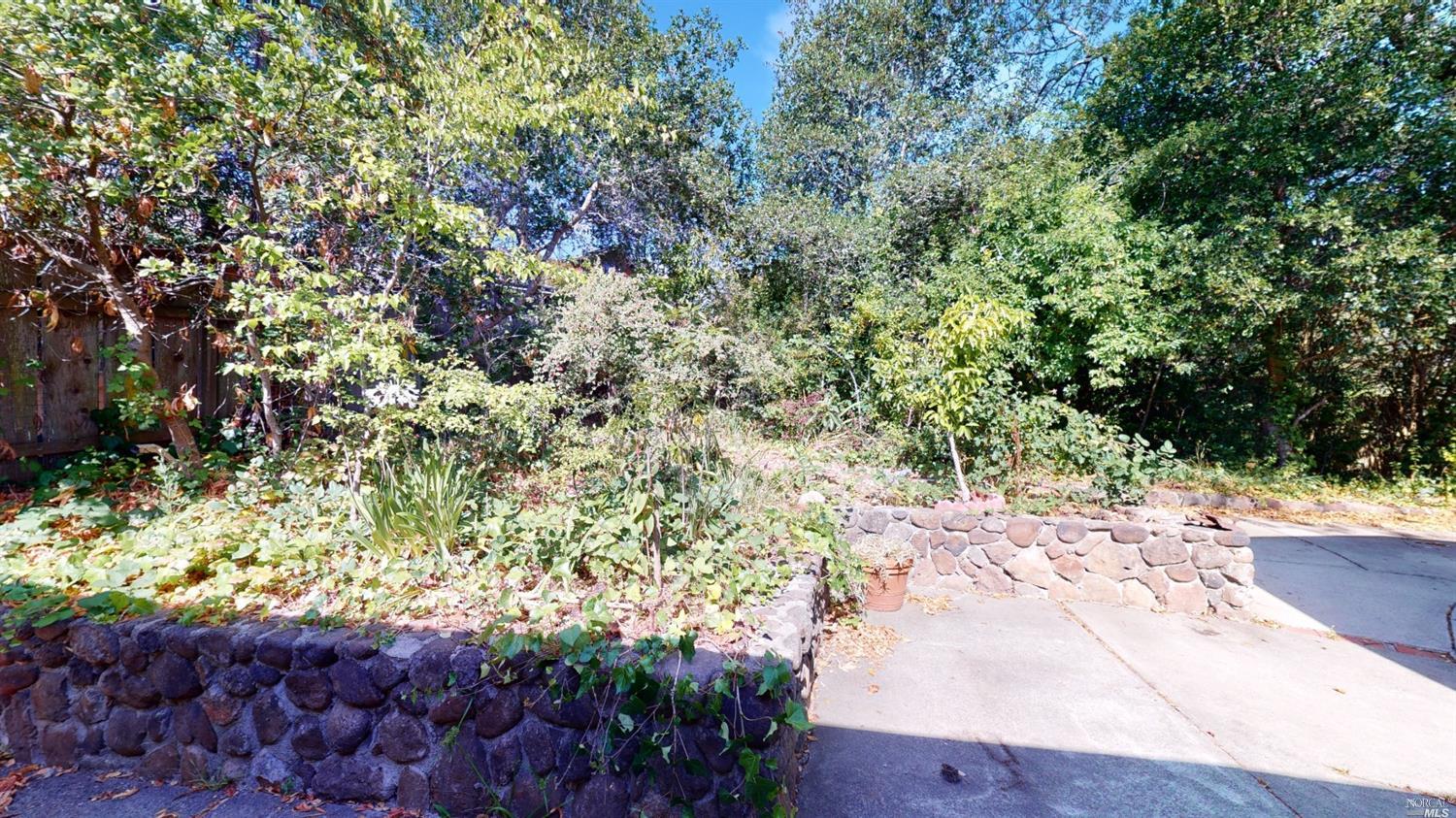 77 Homestead Boulevard Mill Valley, CA 94941 - Photo 36 of 56 a view of a yard with plants and tree