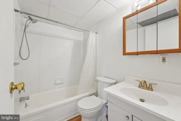 a bathroom with a sink a toilet and a bathtub