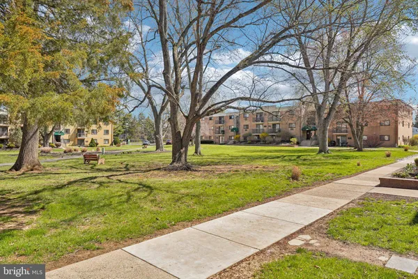a view of yard with green space