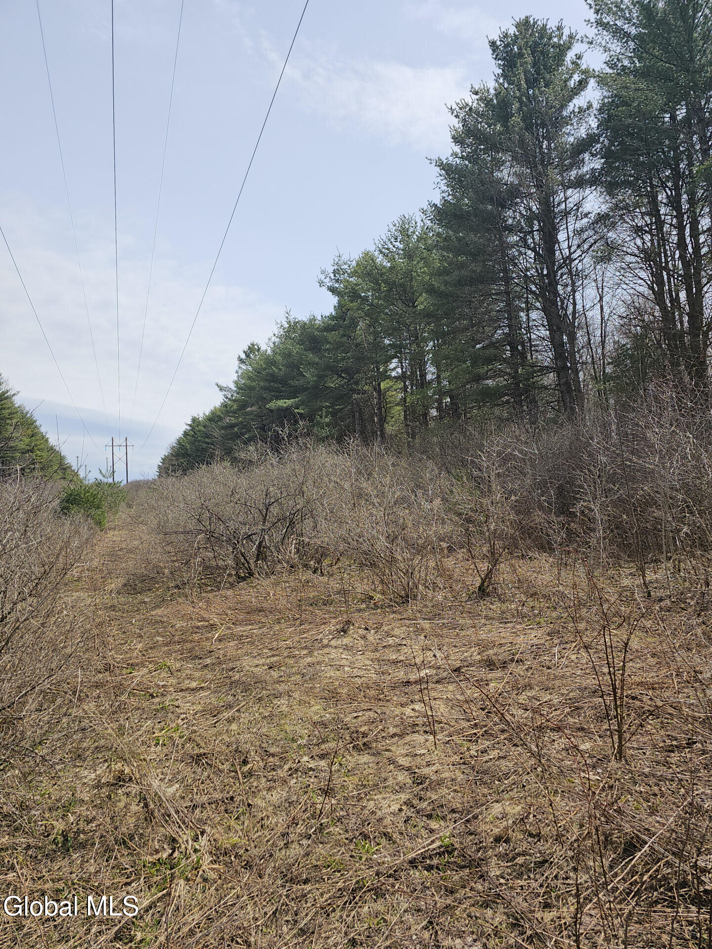 290 Griggs Road Springfield, NY 13468 - Photo 43 of 59 290GriggsRd_68576_44