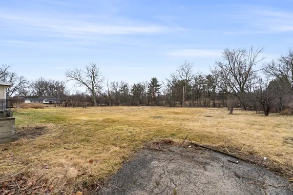 a view of yard with trees