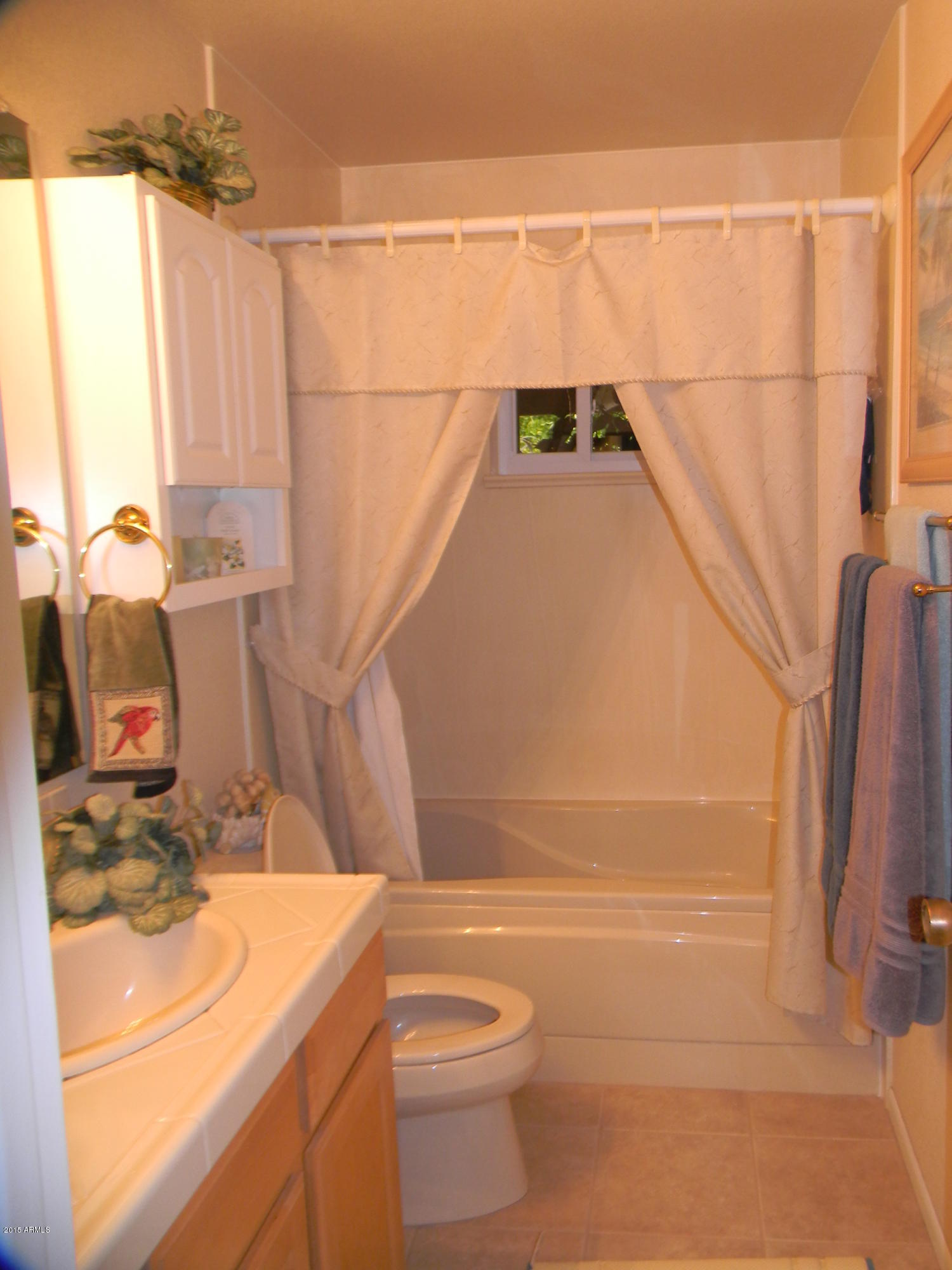 6264 East Decatur Street Mesa, AZ 85205 - Photo 9 of 12 6264Bathroom