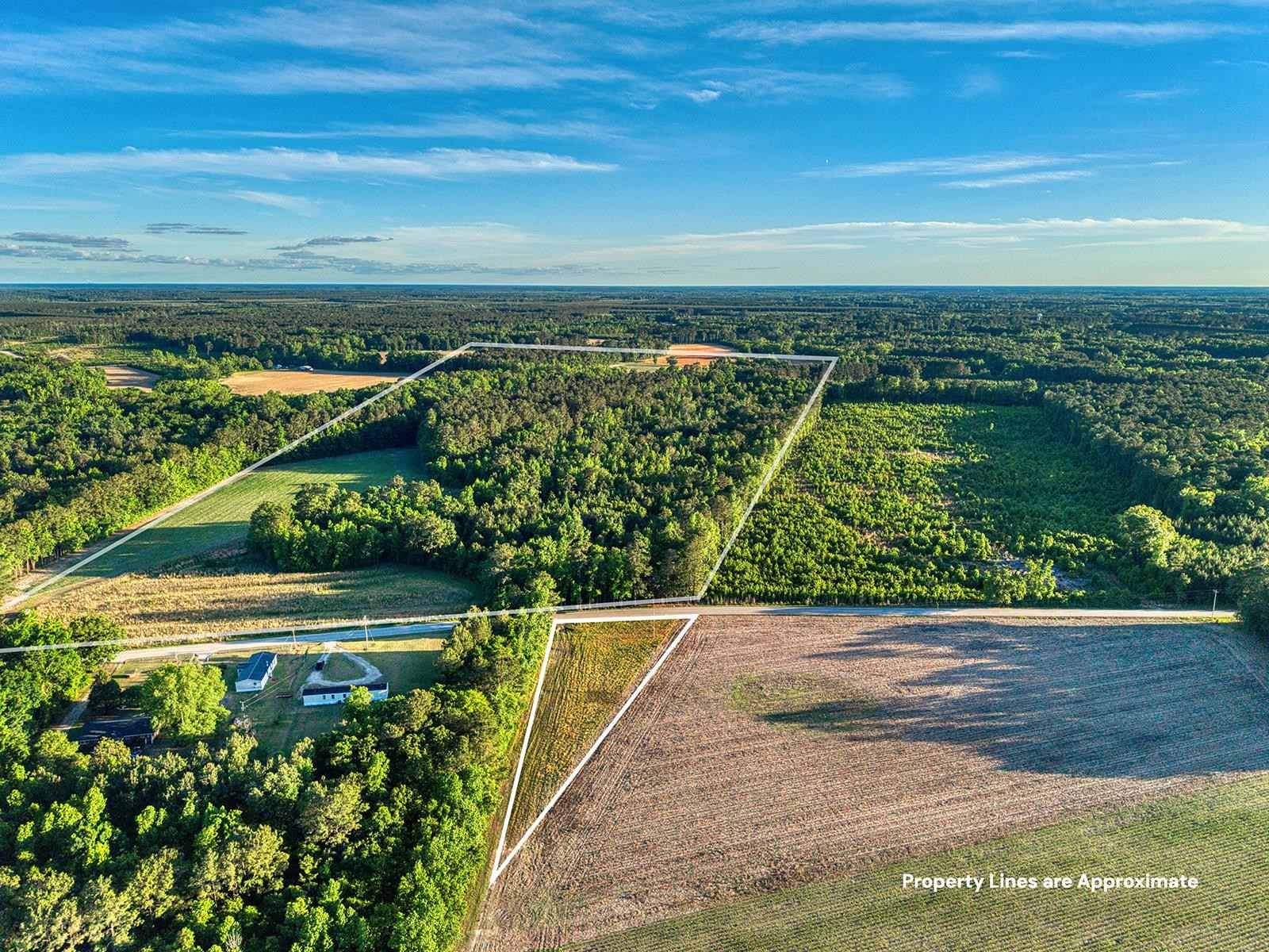 Tbd Tbd Chair Road Hemingway, SC 29554 - Photo 5 of 37