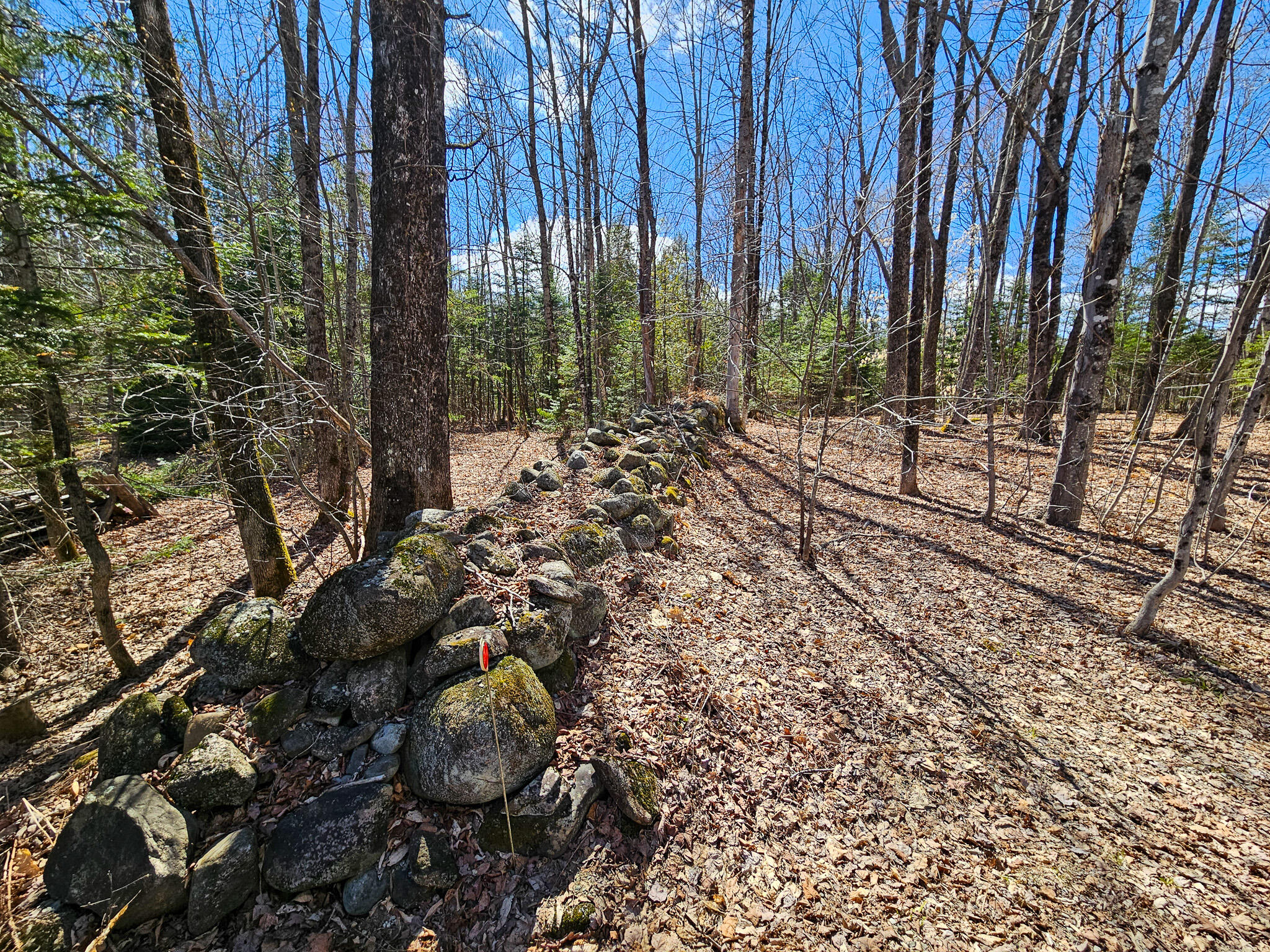 469 Norton Hill Road Strong, ME 04983 - Photo 64 of 76 20260425_143010