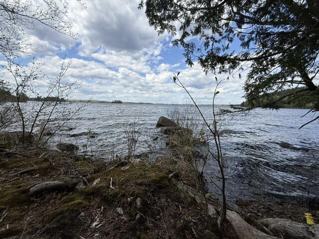 Lot12-part Indian Trail Road East Machias, ME 04630 - Photo 10 of 34 IMG_9880
