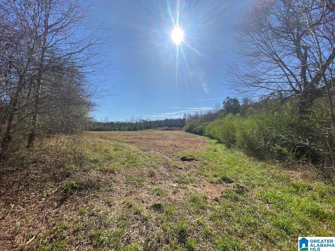 0 State Line Road Graham, AL 36263 - Photo 4 of 8