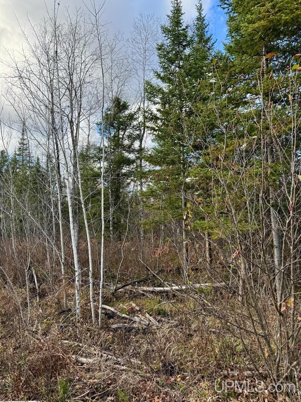 27.5 Rd 52 Ac Trail Gladstone, MI 49837 - Photo 15 of 20