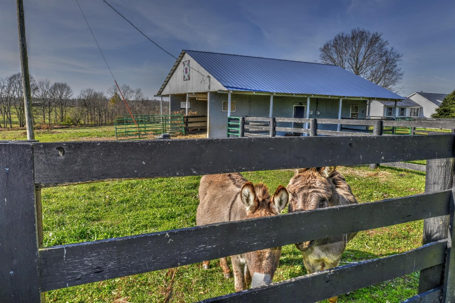711 Collins Road Paris, KY 40361 - Photo 87 of 95 Photo 88