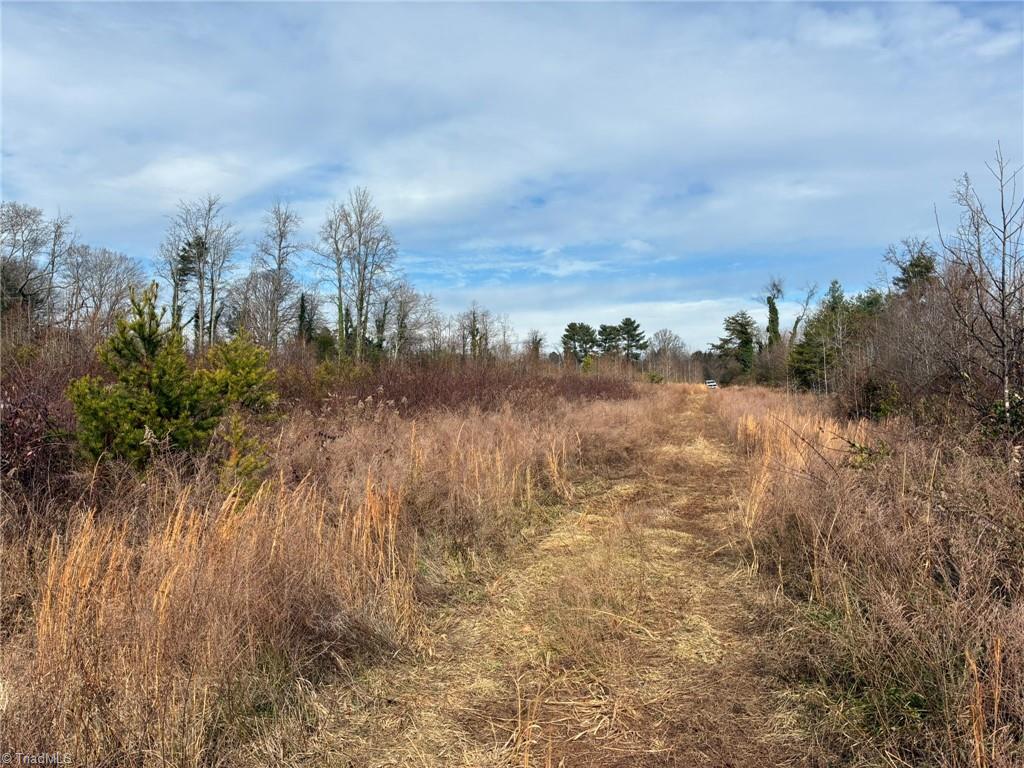 9033 Stack Road Colfax, NC 27235 - Photo 7 of 10