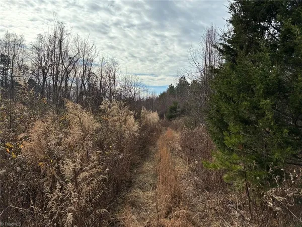 $2,000,000 | 9033 Stack Road, Colfax, NC 27235