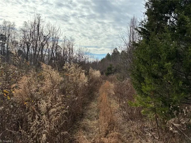 $2,000,000 | 9033 Stack Road, Colfax, NC 27235