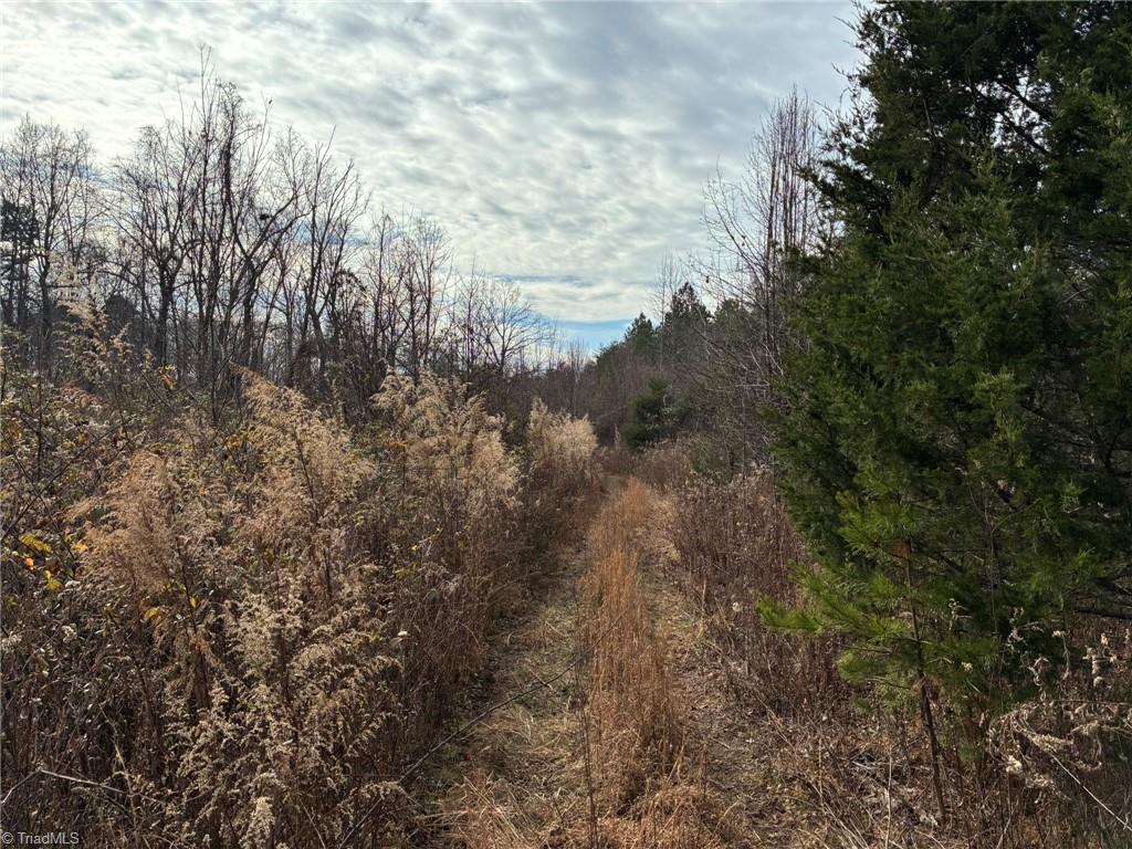 9033 Stack Road Colfax, NC 27235 - Photo 8 of 10