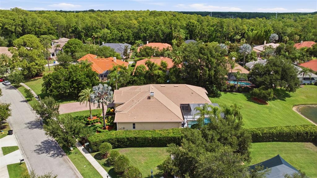 9409 Tree Tops Lake Road Tampa, FL 33626 - Photo 81 of 97