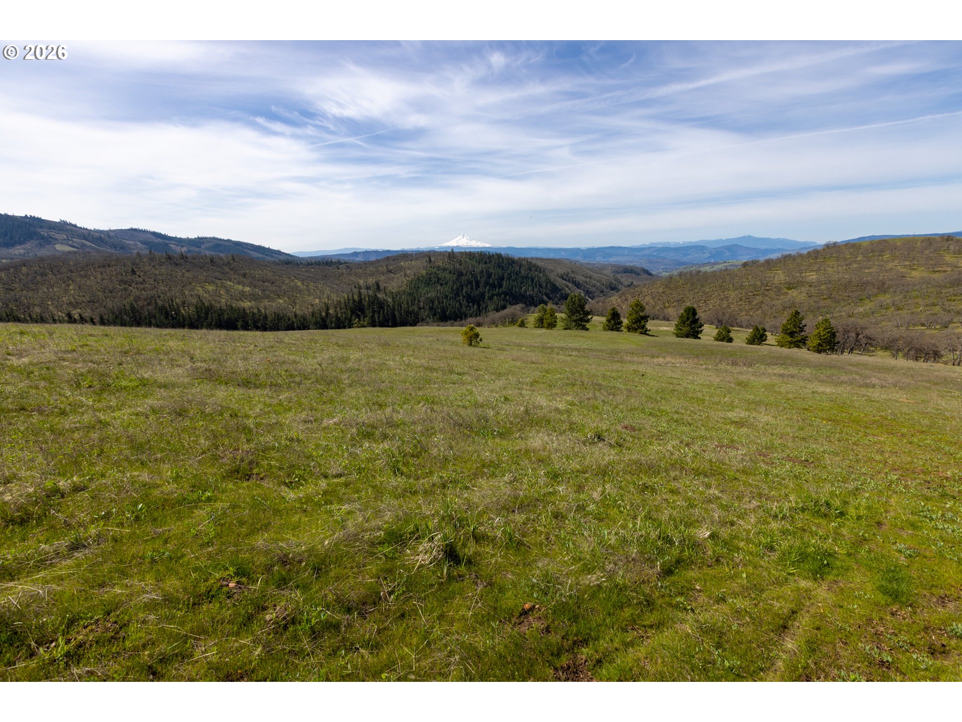 60 Hartwig Road Lyle, WA 98635 - Photo 20 of 41 a view of an ocean and a mountain