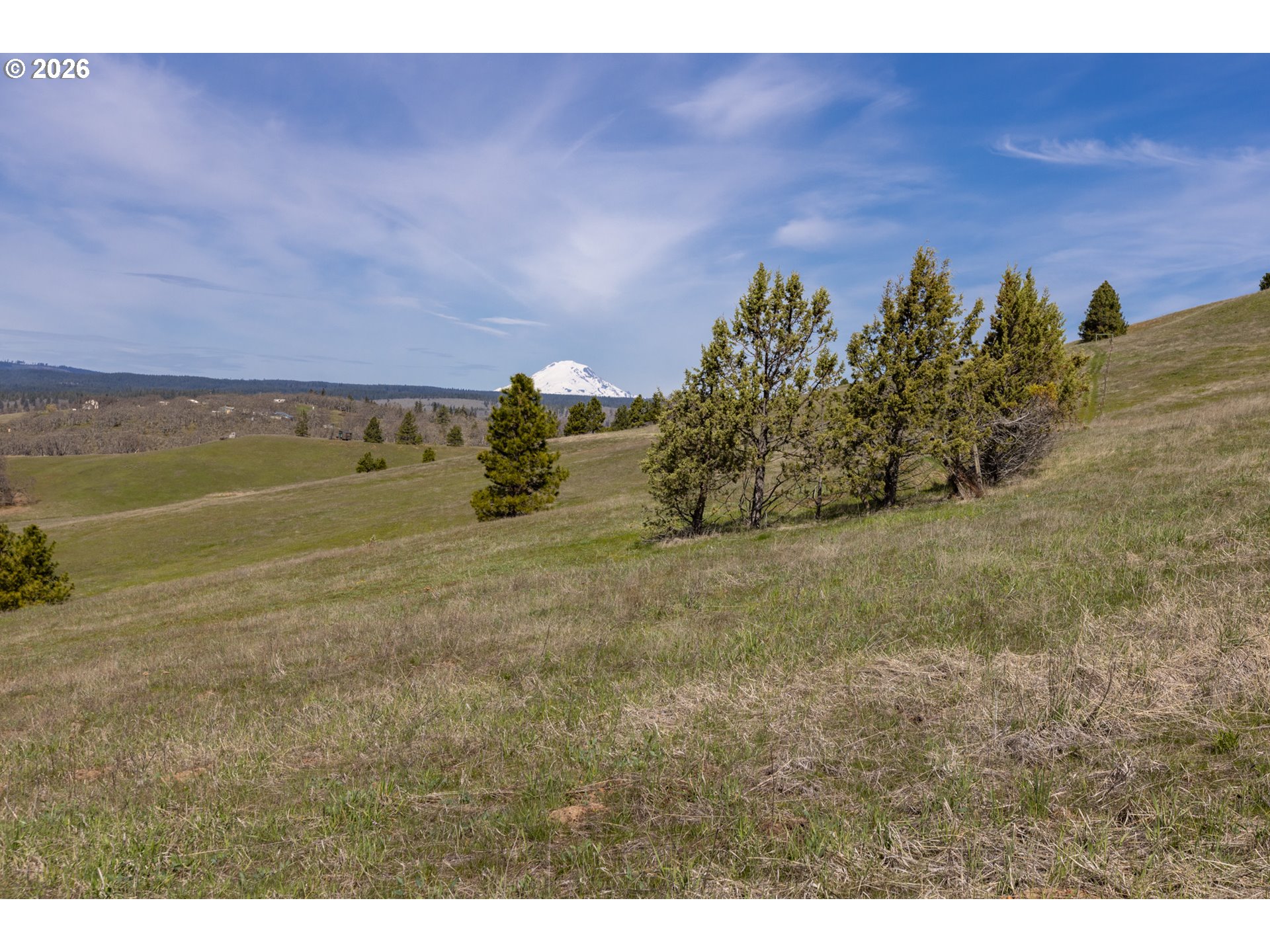 60 Hartwig Road Lyle, WA 98635 - Photo 21 of 41 a view of a yard with an ocean