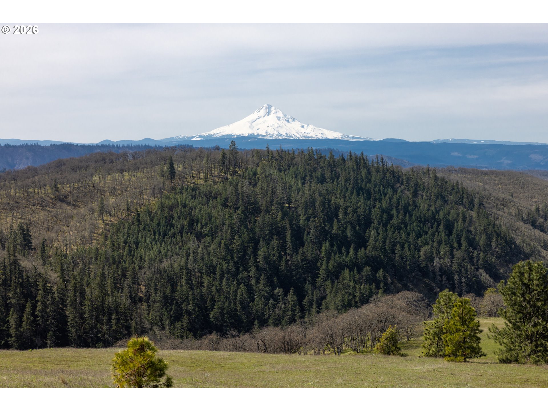 60 Hartwig Road Lyle, WA 98635 - Photo 23 of 41 a view of a mountain