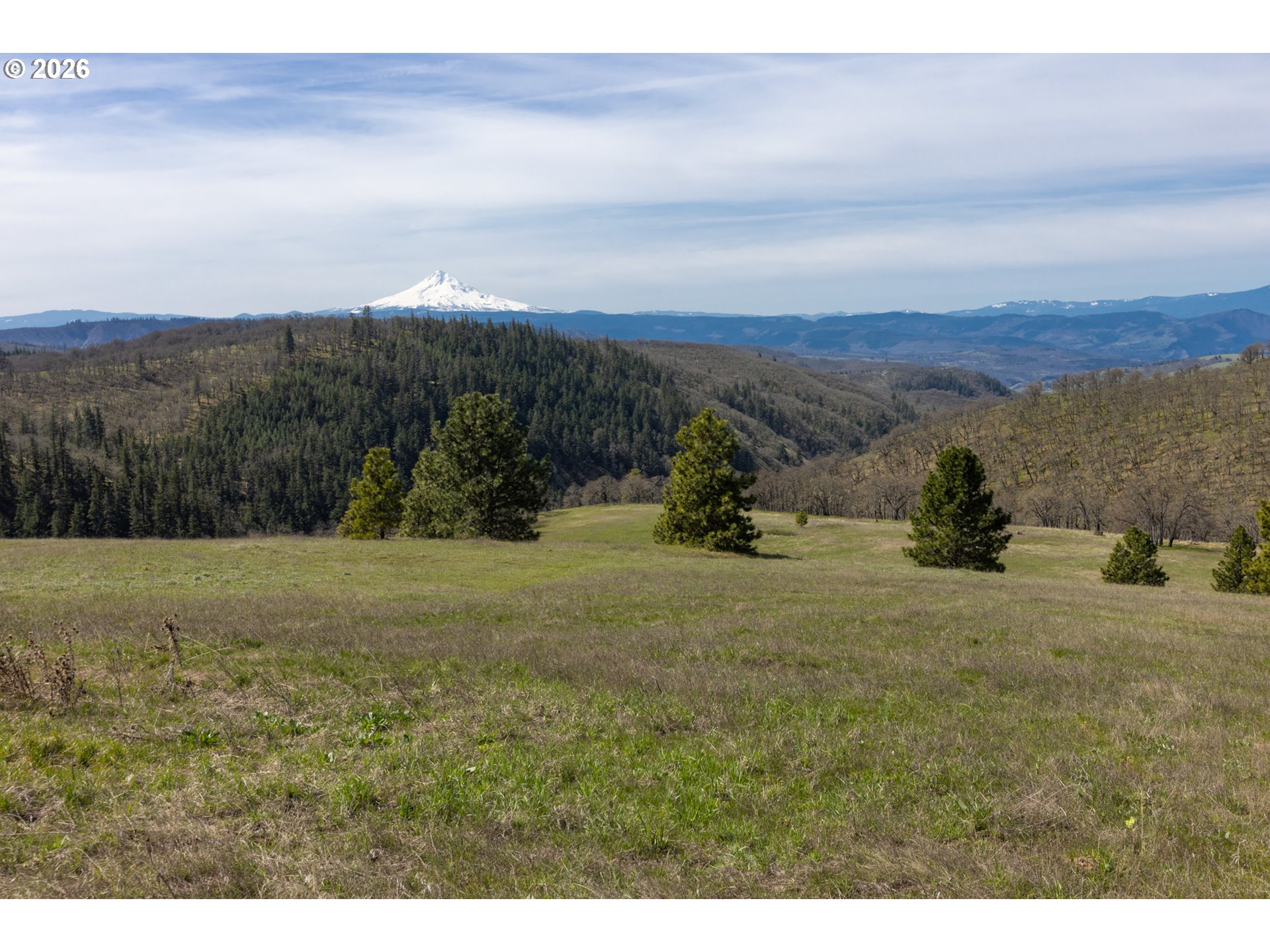 60 Hartwig Road Lyle, WA 98635 - Photo 28 of 41 a view of a field with a mountain in the background