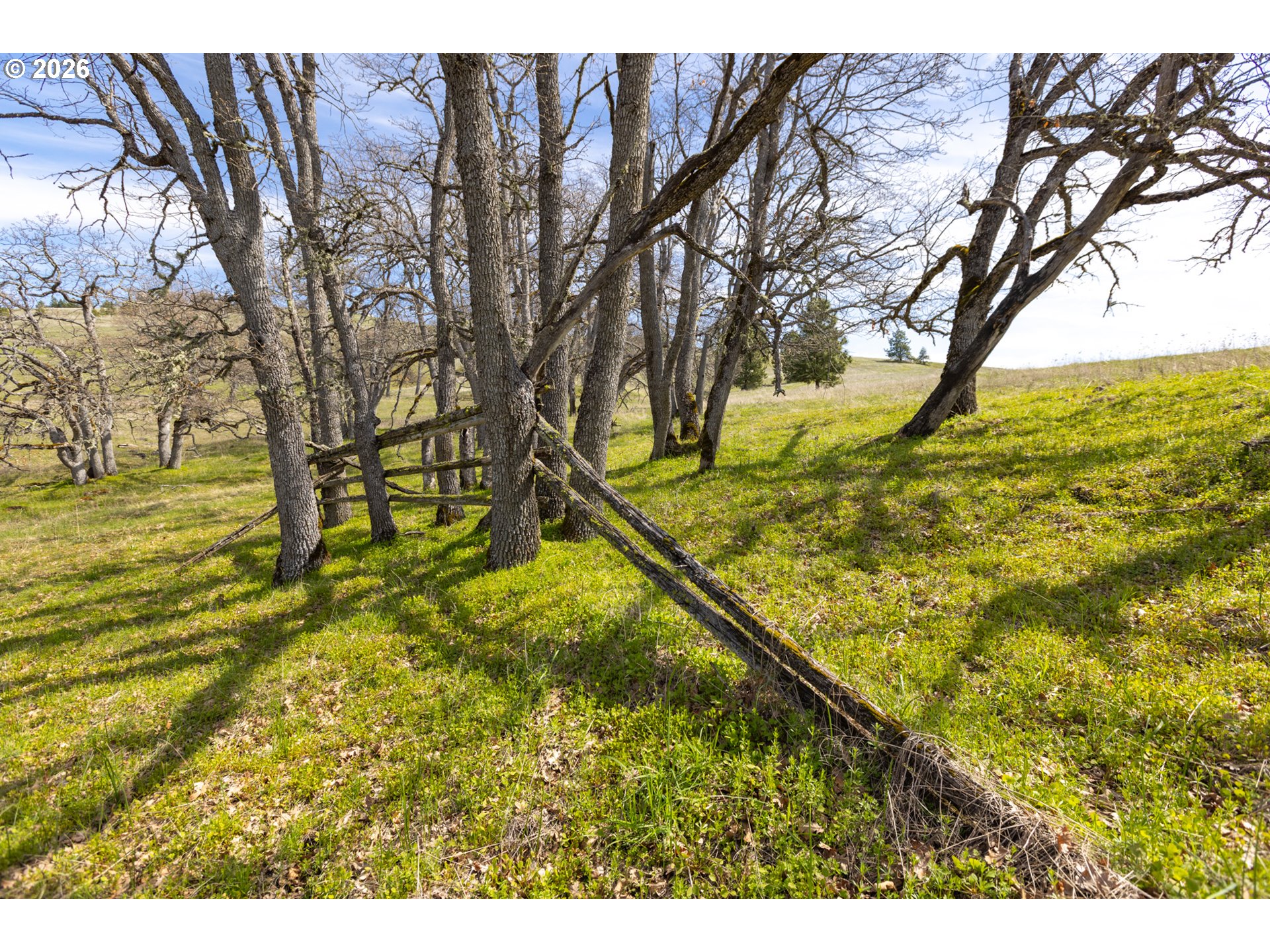 60 Hartwig Road Lyle, WA 98635 - Photo 36 of 41 a view of a yard with an trees