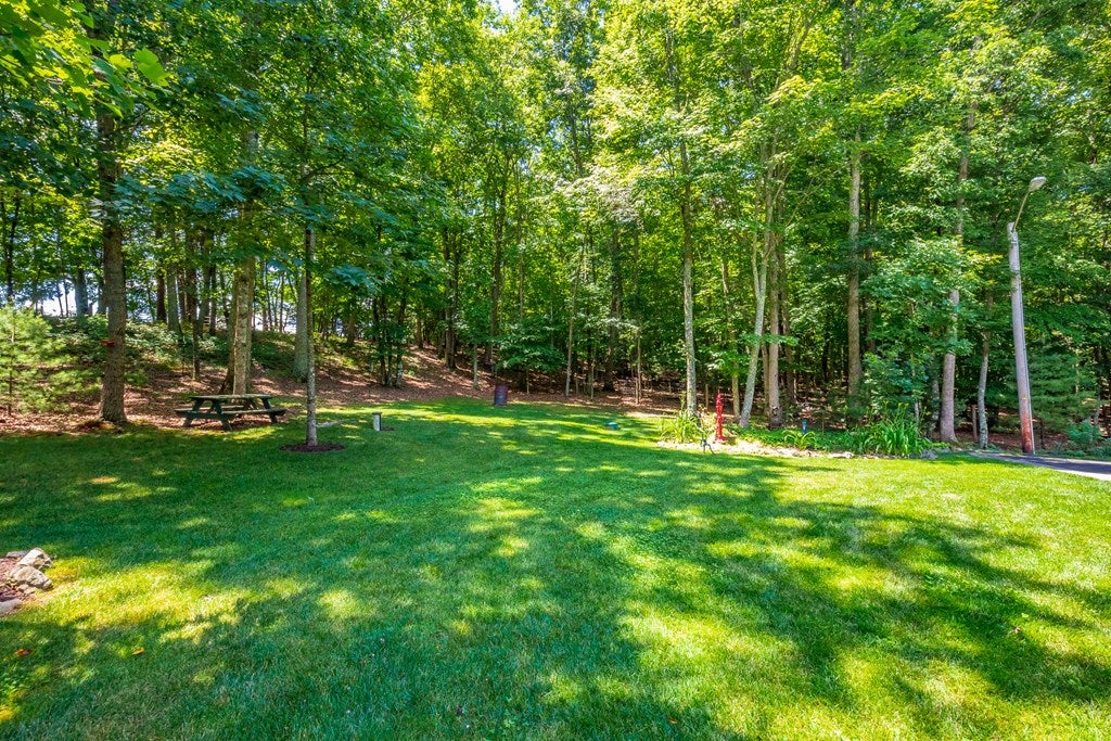 366 Kitchen Road Max Meadows, VA 24360 - Photo 74 of 92 Gallery Image 74
