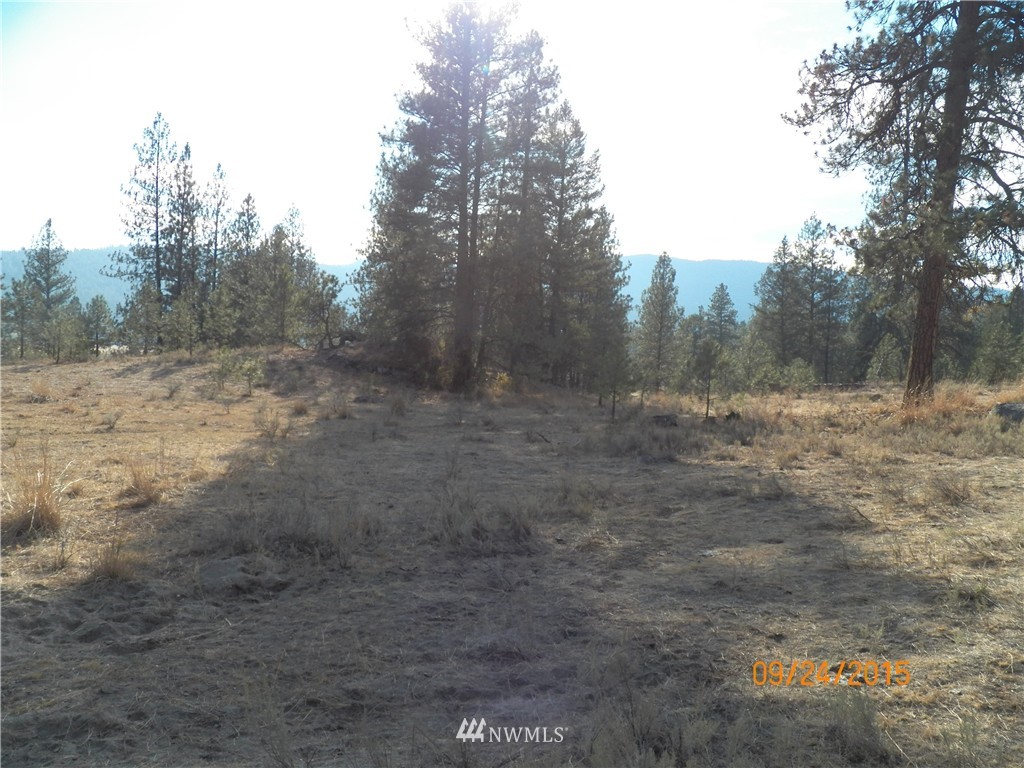 62 Main Road Tonasket, WA 98855 - Photo 11 of 12